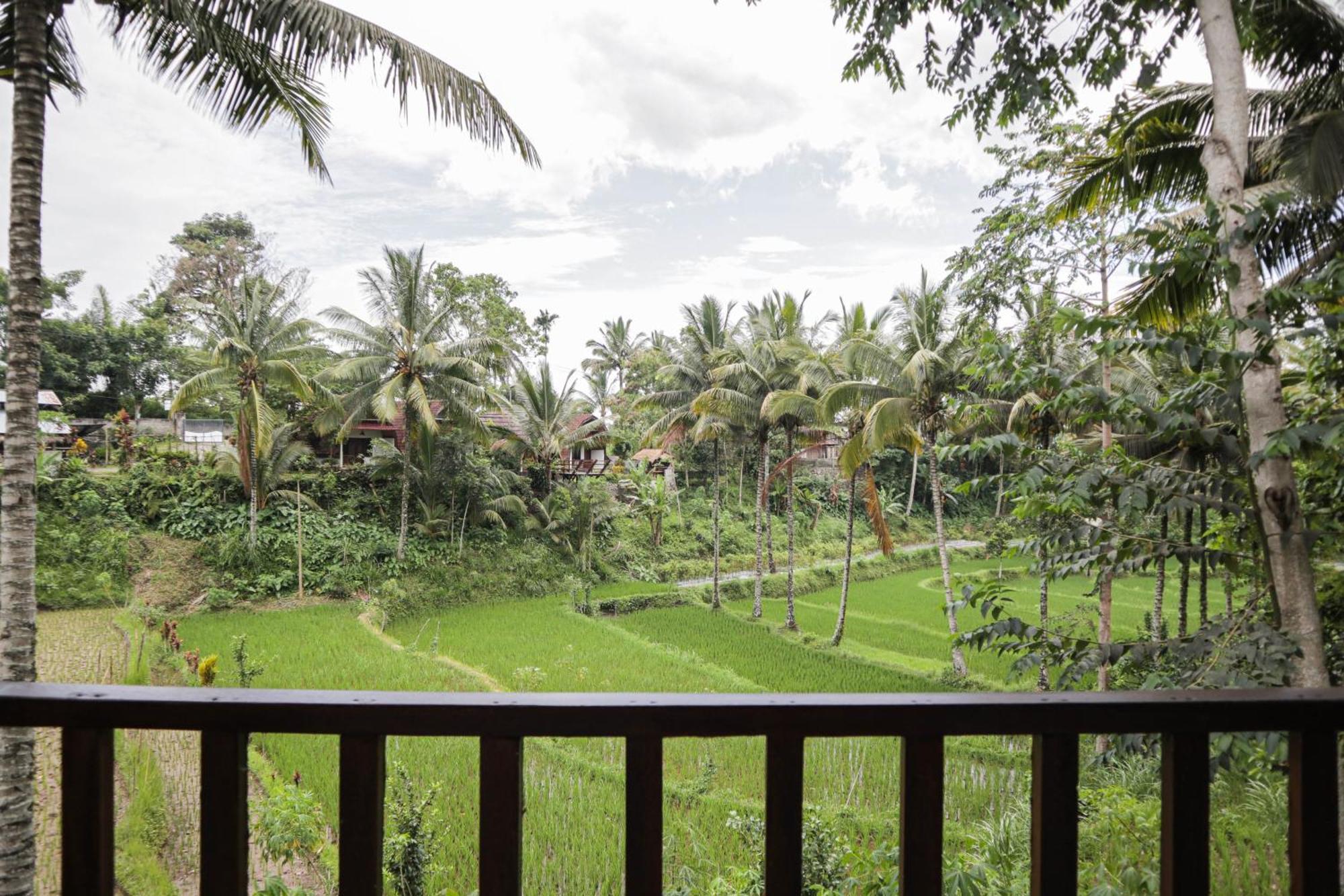 Nea Cottage Lombok Tetebatu Zewnętrze zdjęcie