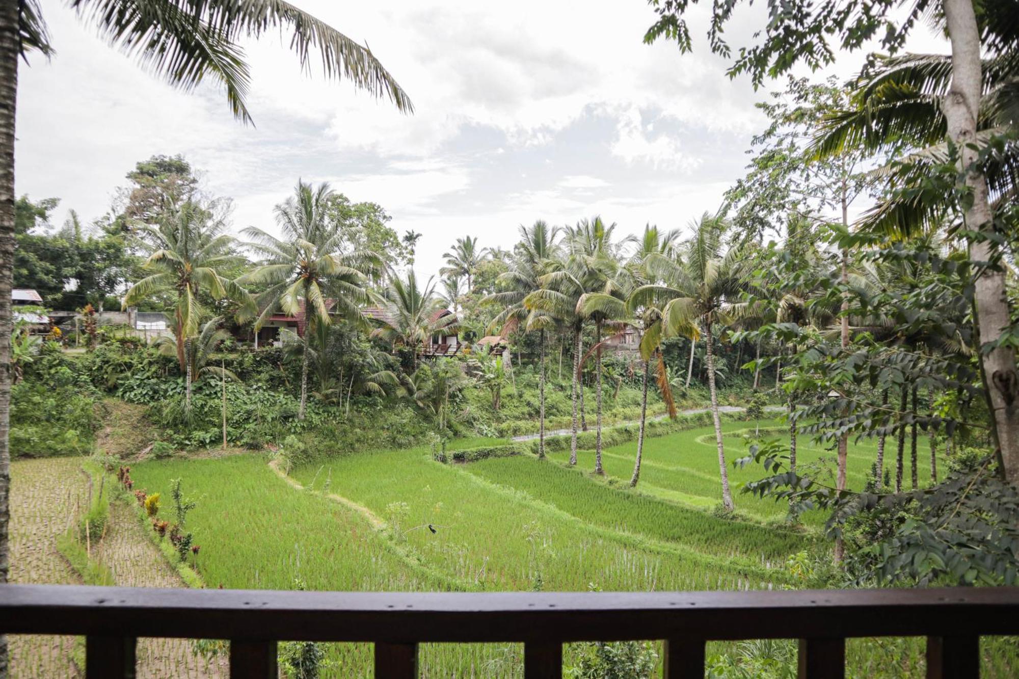 Nea Cottage Lombok Tetebatu Zewnętrze zdjęcie