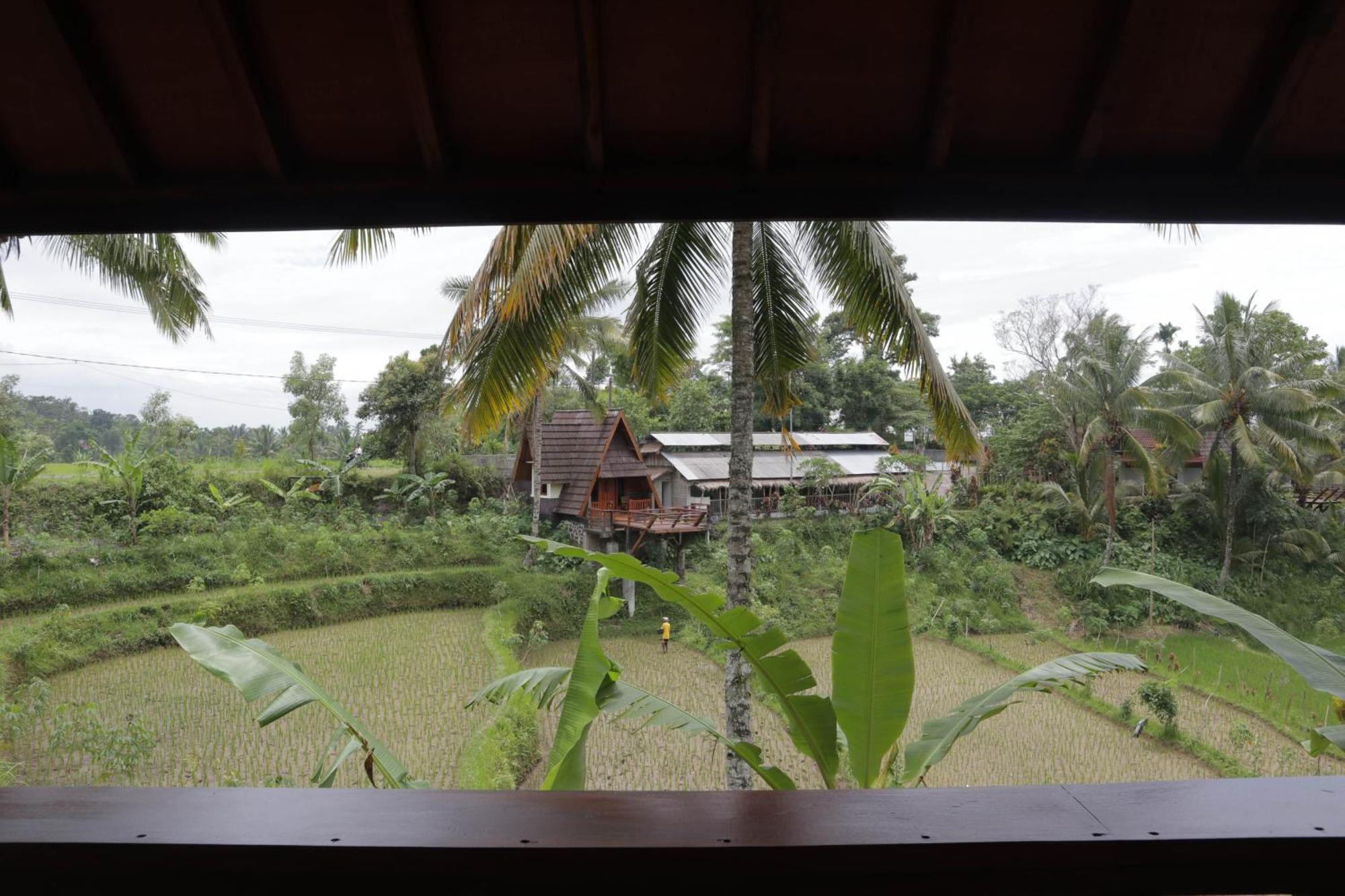 Nea Cottage Lombok Tetebatu Zewnętrze zdjęcie