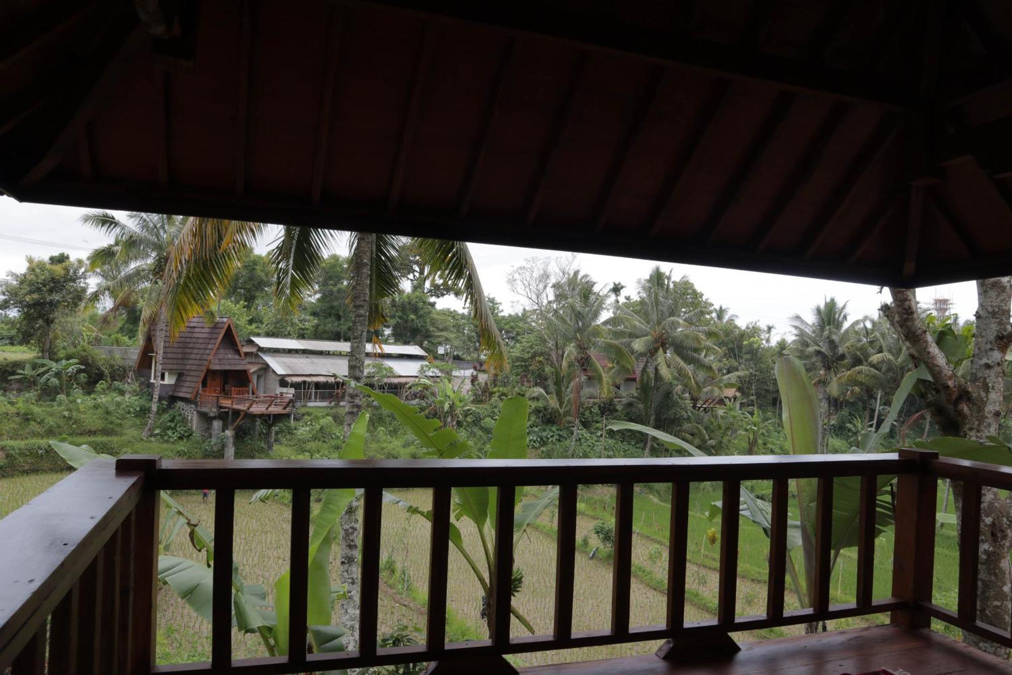 Nea Cottage Lombok Tetebatu Zewnętrze zdjęcie