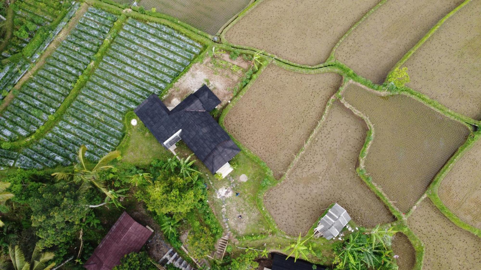 Nea Cottage Lombok Tetebatu Zewnętrze zdjęcie