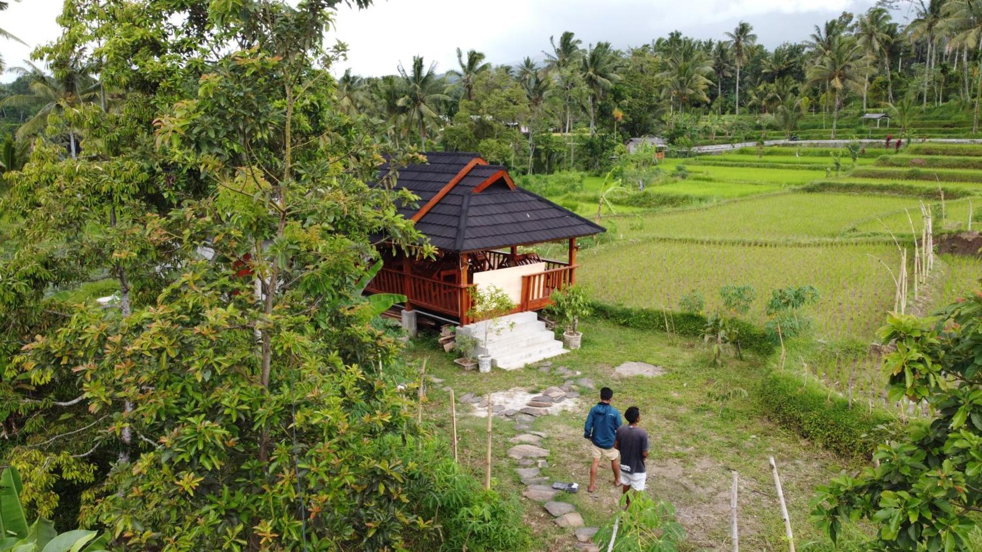 Nea Cottage Lombok Tetebatu Zewnętrze zdjęcie