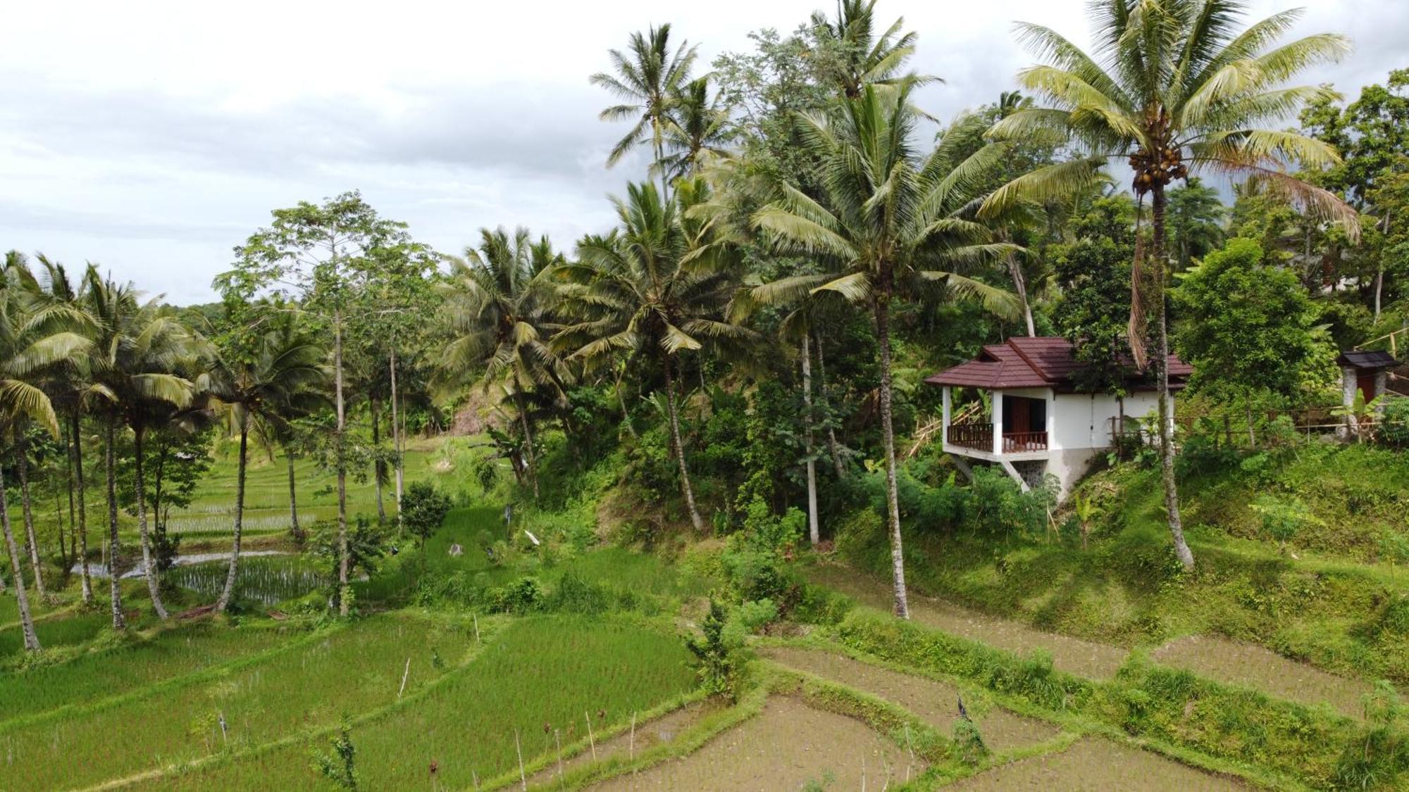 Nea Cottage Lombok Tetebatu Zewnętrze zdjęcie