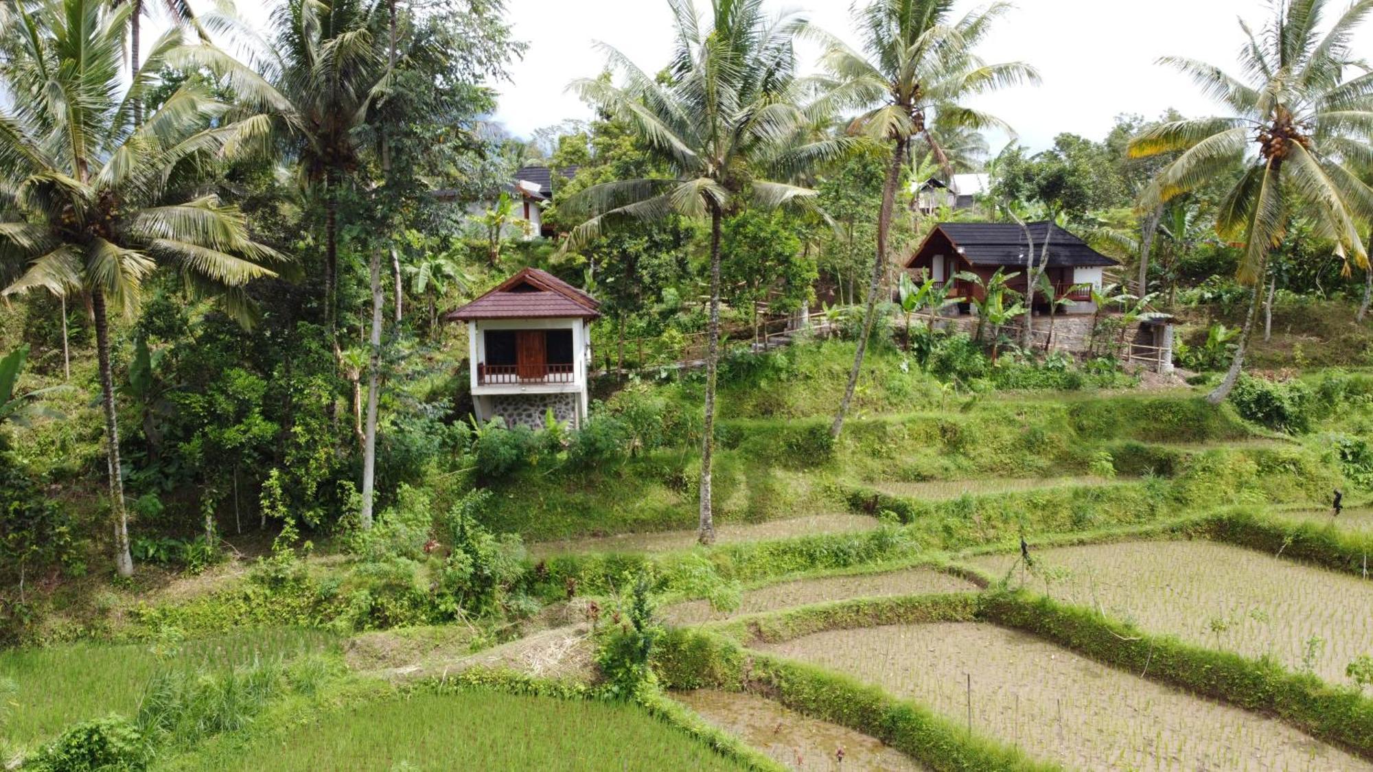 Nea Cottage Lombok Tetebatu Zewnętrze zdjęcie