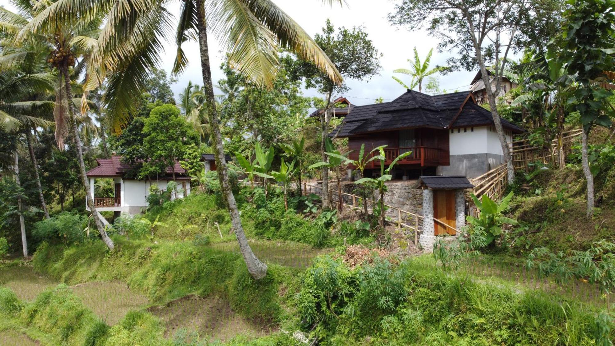 Nea Cottage Lombok Tetebatu Zewnętrze zdjęcie