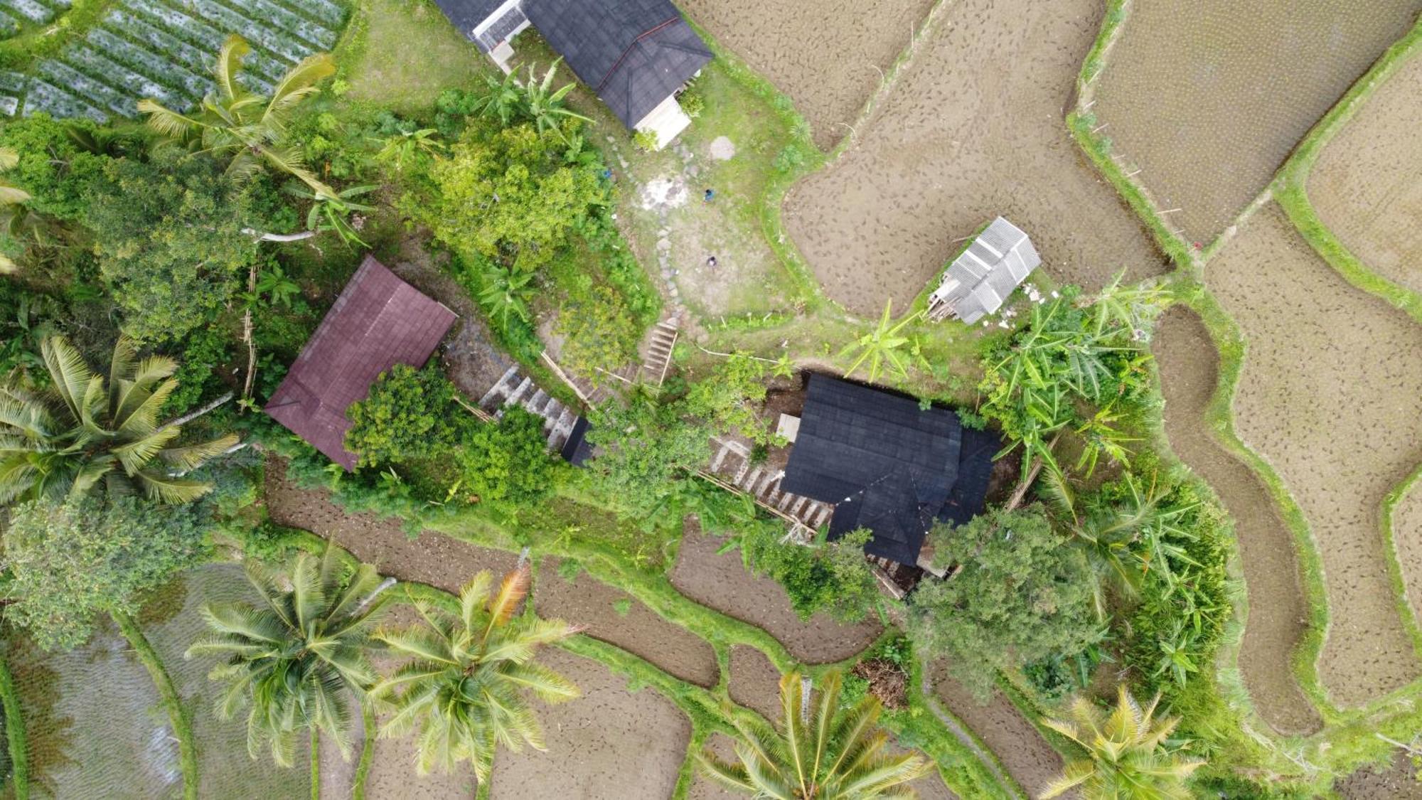 Nea Cottage Lombok Tetebatu Zewnętrze zdjęcie