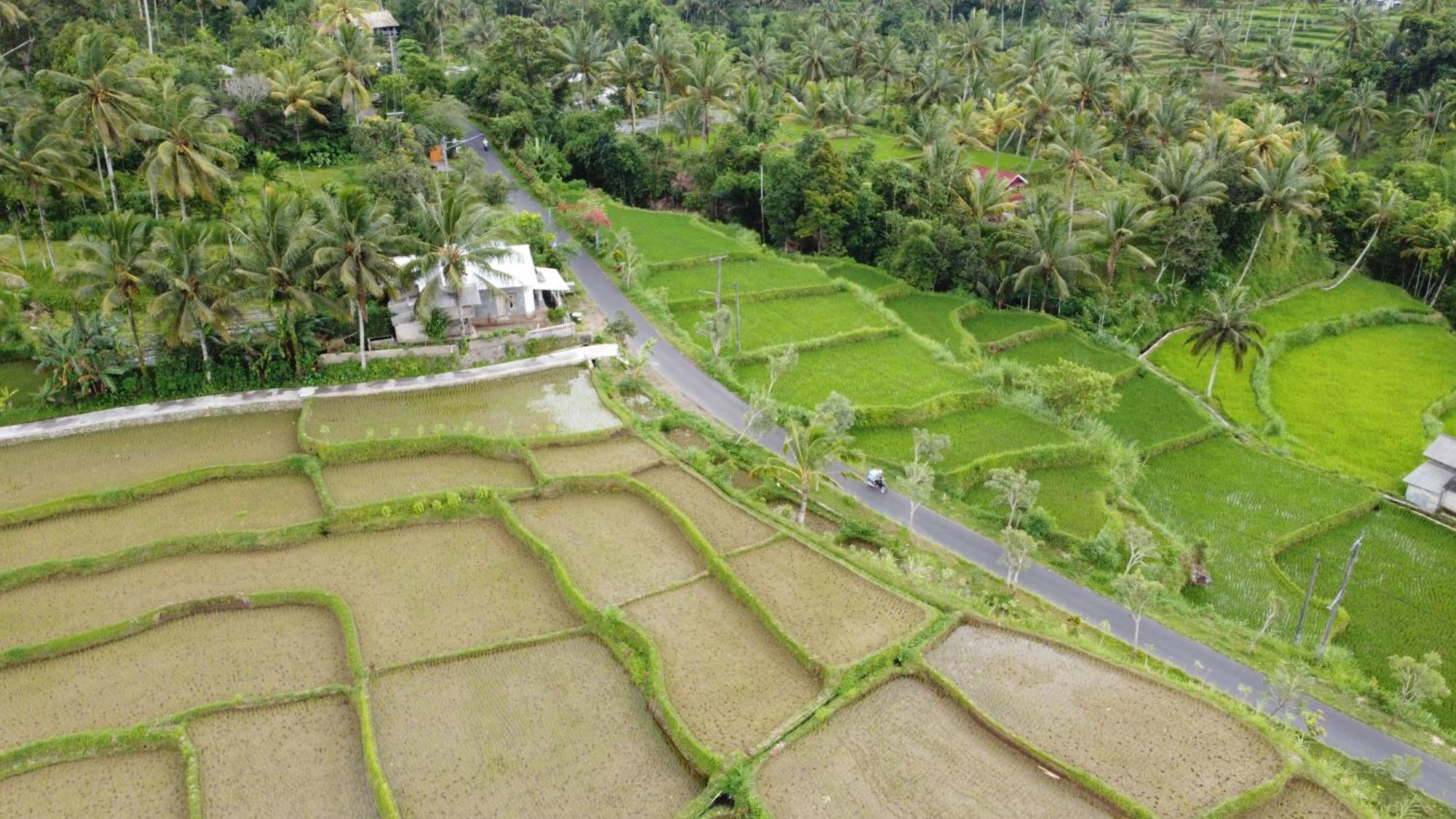 Nea Cottage Lombok Tetebatu Zewnętrze zdjęcie