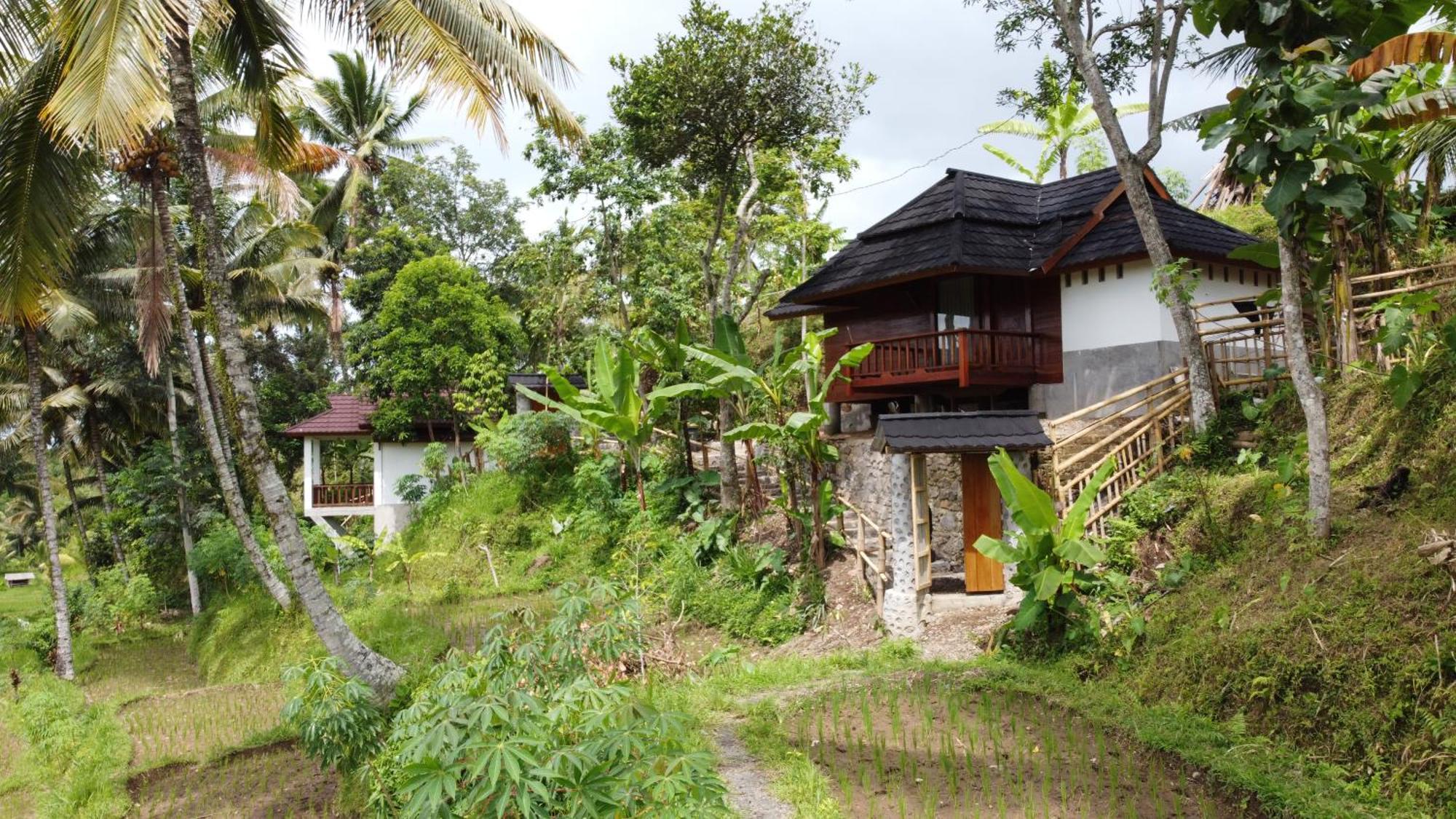 Nea Cottage Lombok Tetebatu Zewnętrze zdjęcie