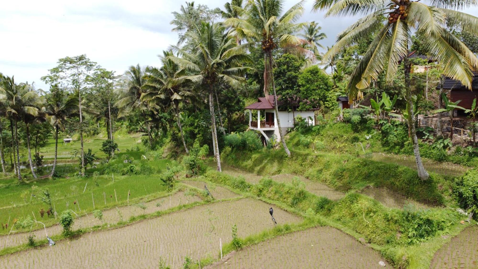 Nea Cottage Lombok Tetebatu Zewnętrze zdjęcie