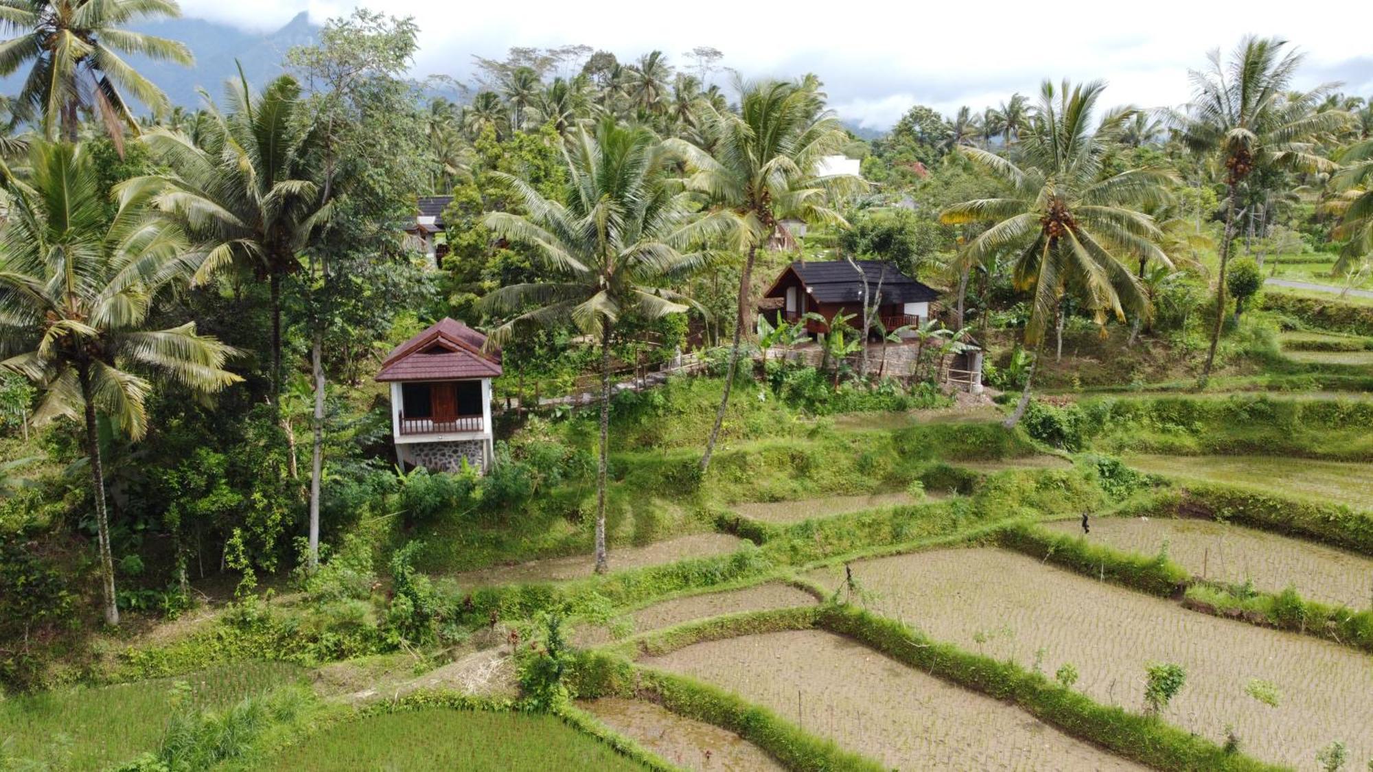 Nea Cottage Lombok Tetebatu Zewnętrze zdjęcie