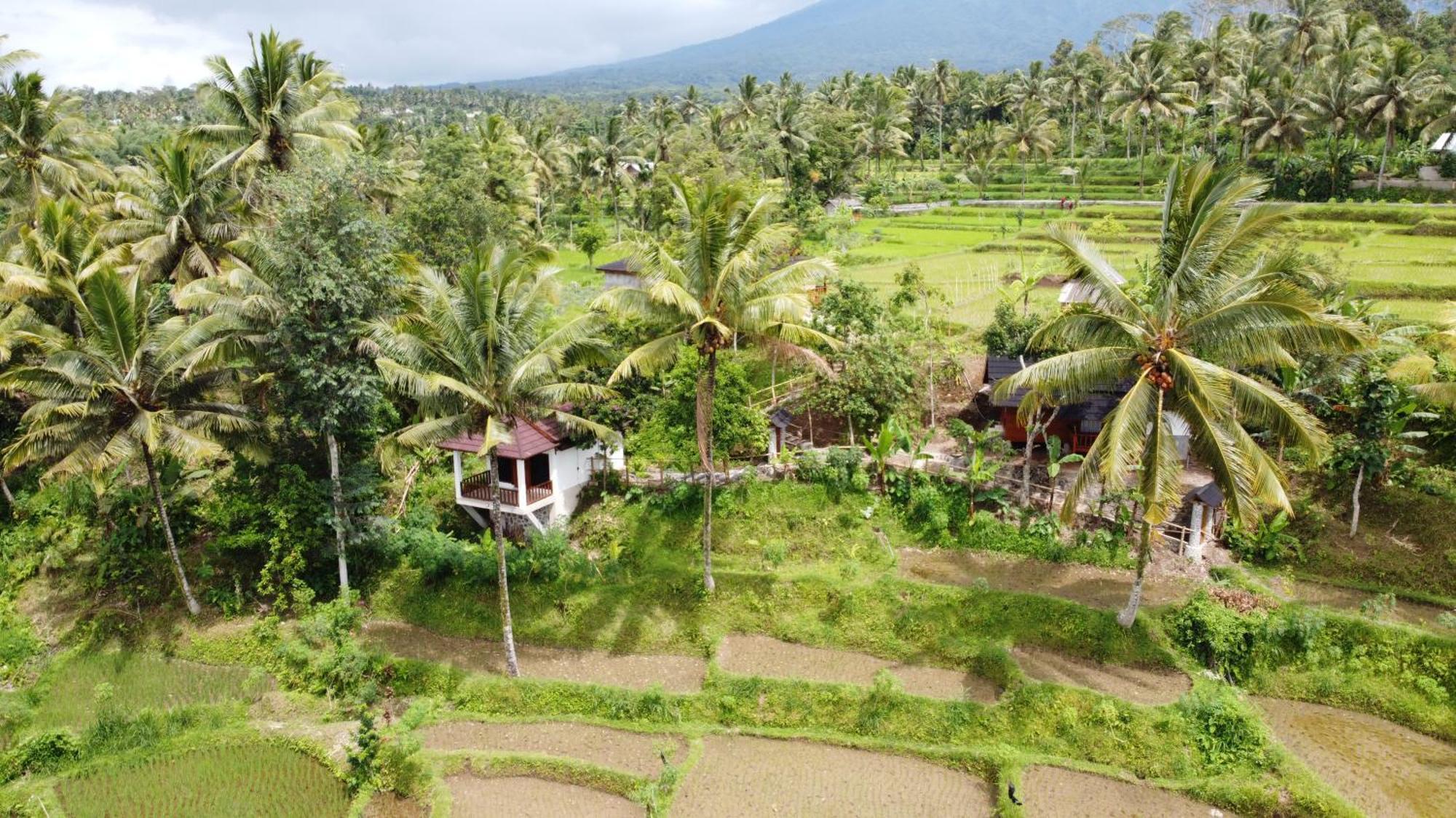 Nea Cottage Lombok Tetebatu Zewnętrze zdjęcie