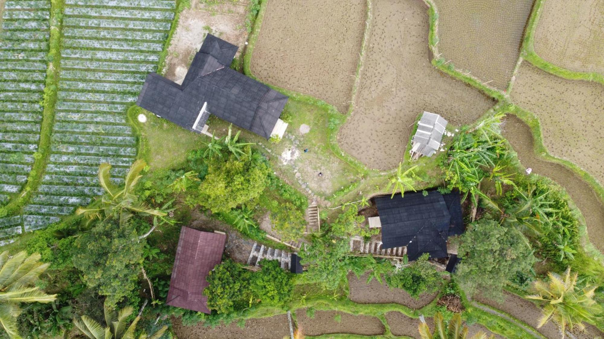 Nea Cottage Lombok Tetebatu Zewnętrze zdjęcie