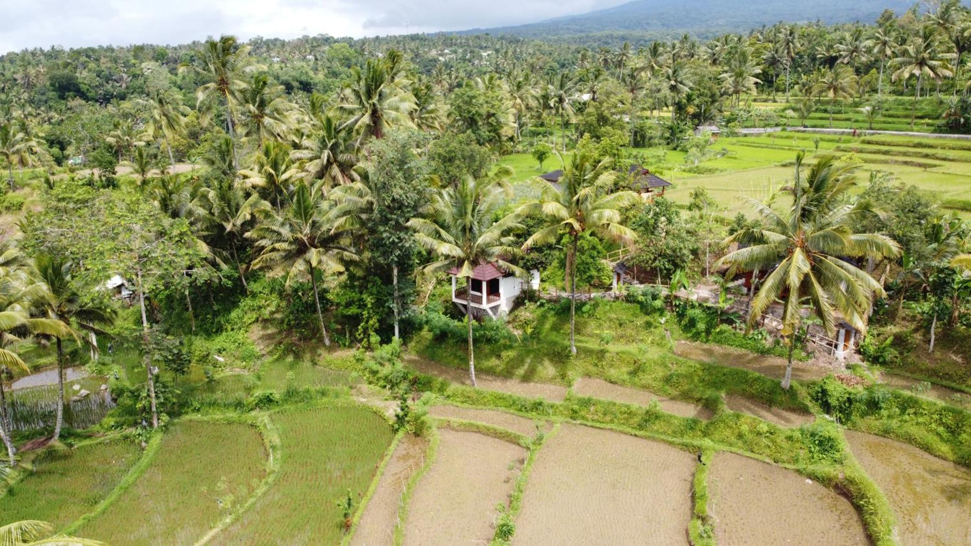 Nea Cottage Lombok Tetebatu Zewnętrze zdjęcie