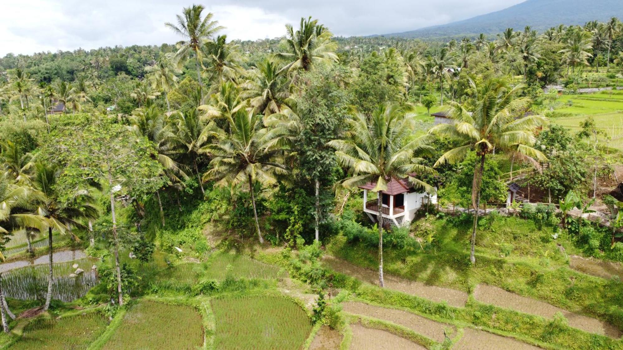 Nea Cottage Lombok Tetebatu Zewnętrze zdjęcie