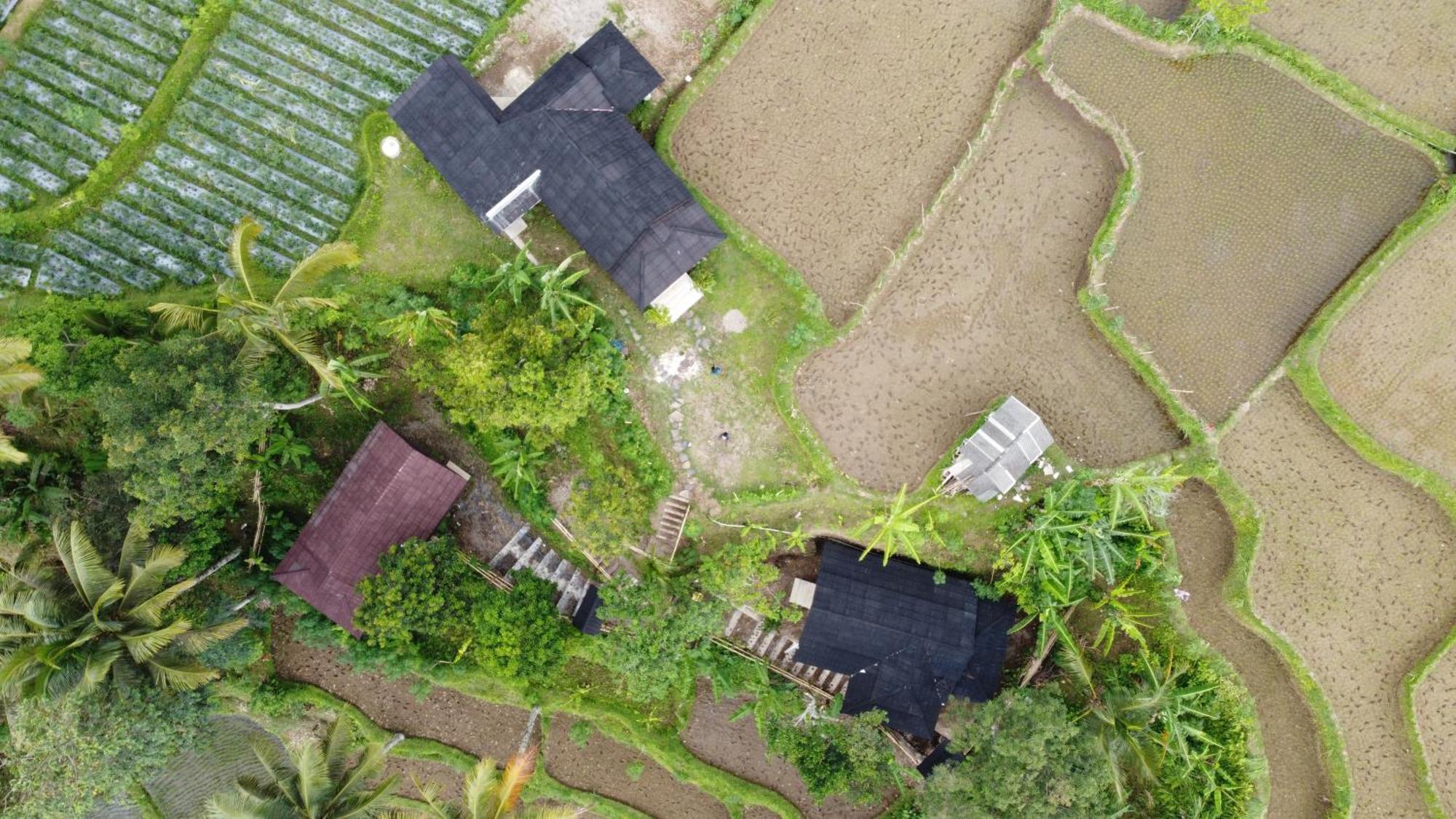 Nea Cottage Lombok Tetebatu Zewnętrze zdjęcie