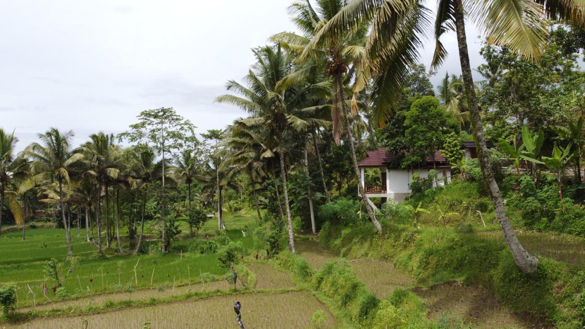 Nea Cottage Lombok Tetebatu Zewnętrze zdjęcie