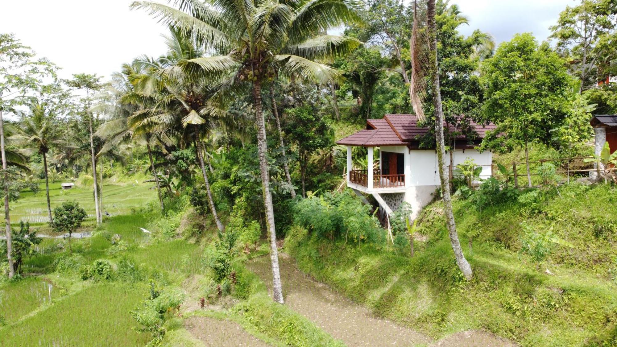 Nea Cottage Lombok Tetebatu Zewnętrze zdjęcie