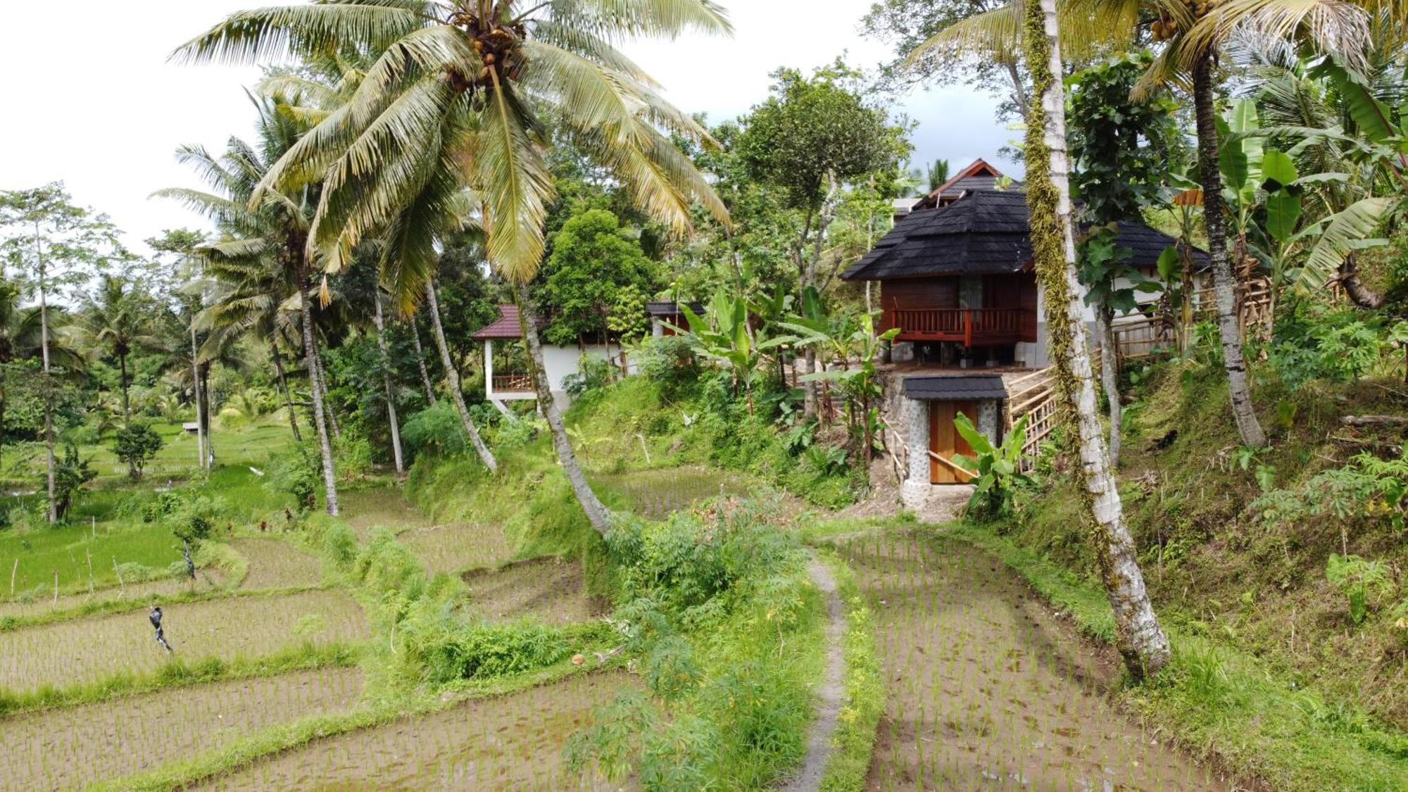 Nea Cottage Lombok Tetebatu Zewnętrze zdjęcie