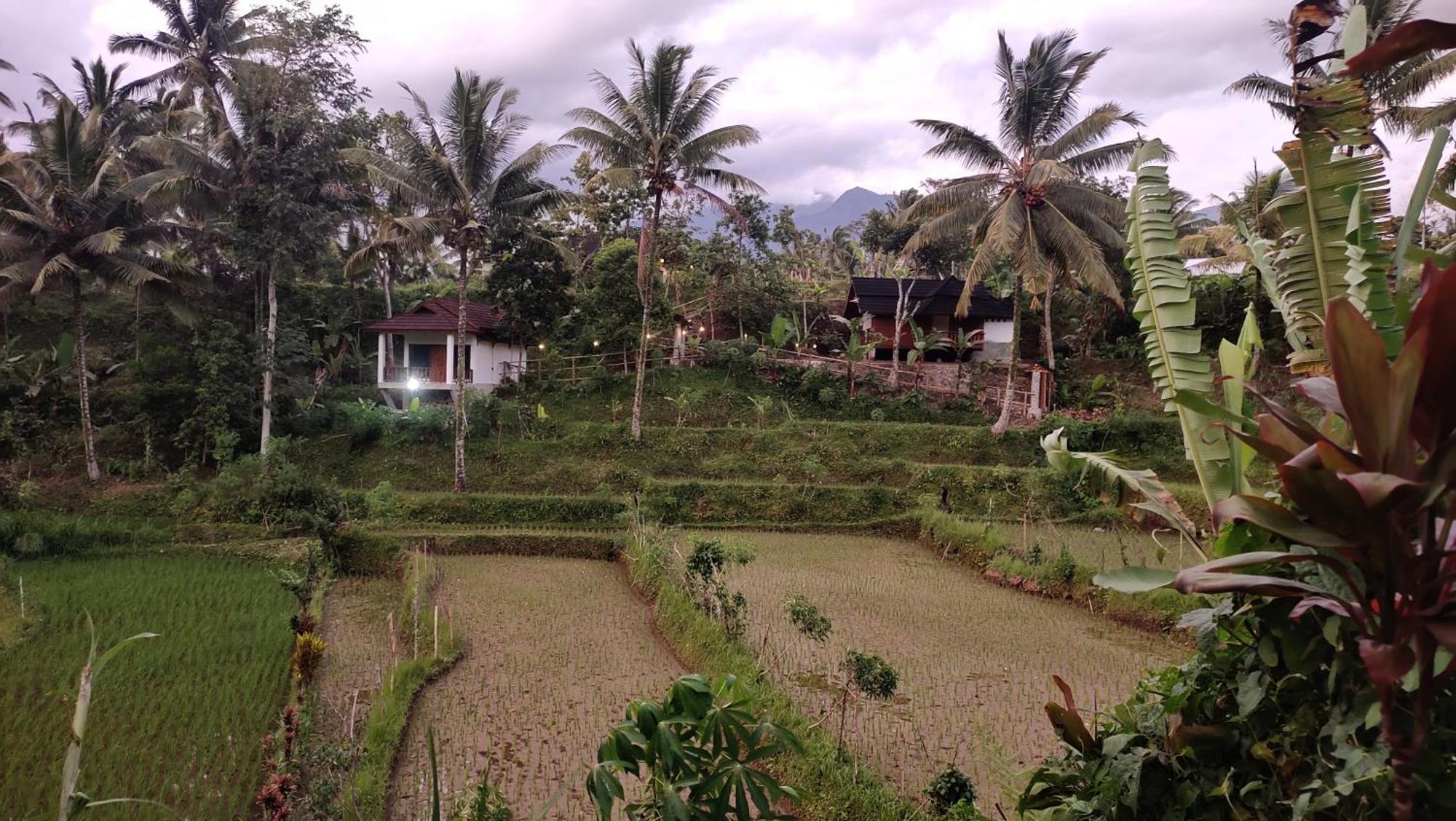 Nea Cottage Lombok Tetebatu Zewnętrze zdjęcie