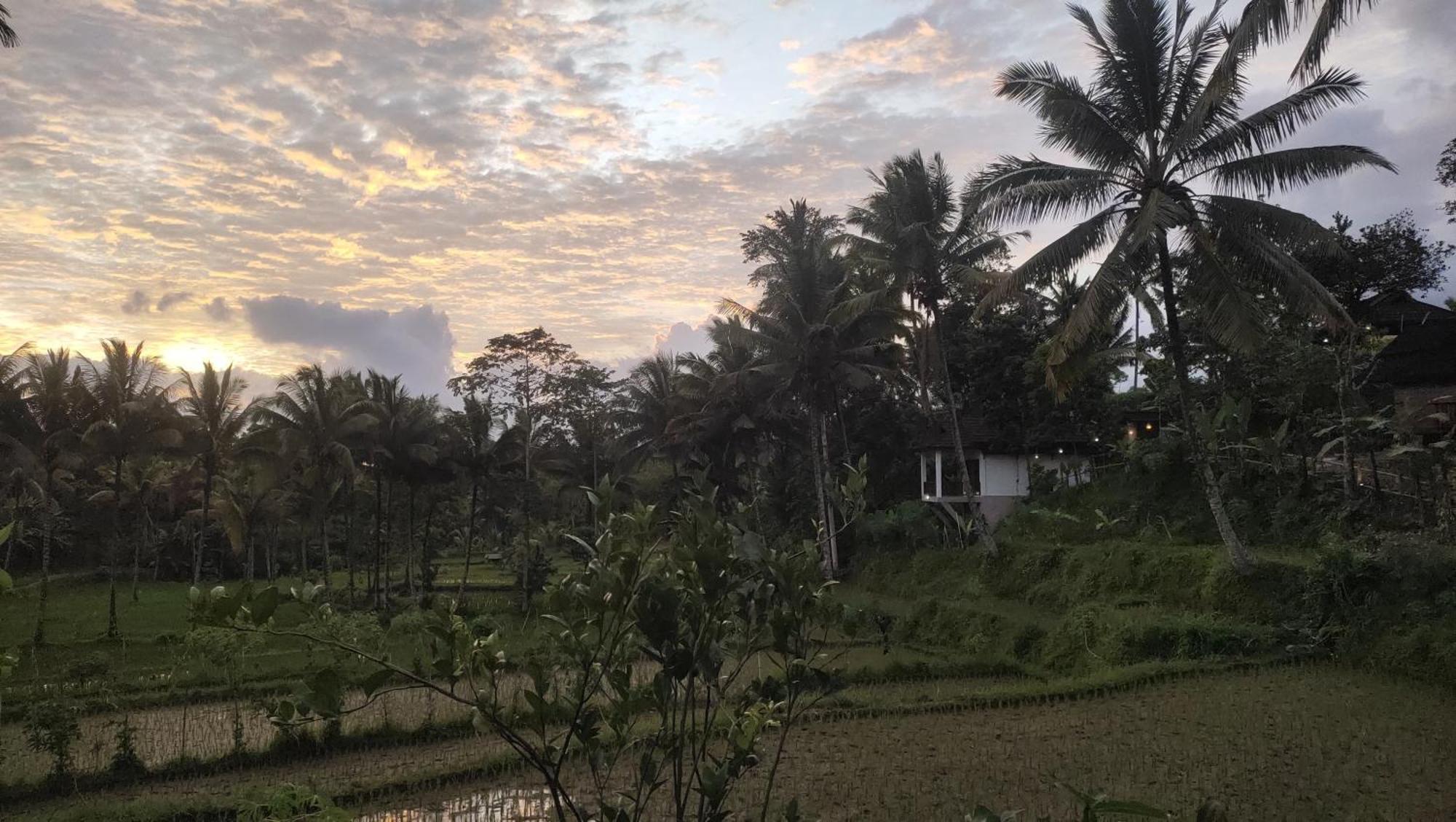 Nea Cottage Lombok Tetebatu Zewnętrze zdjęcie