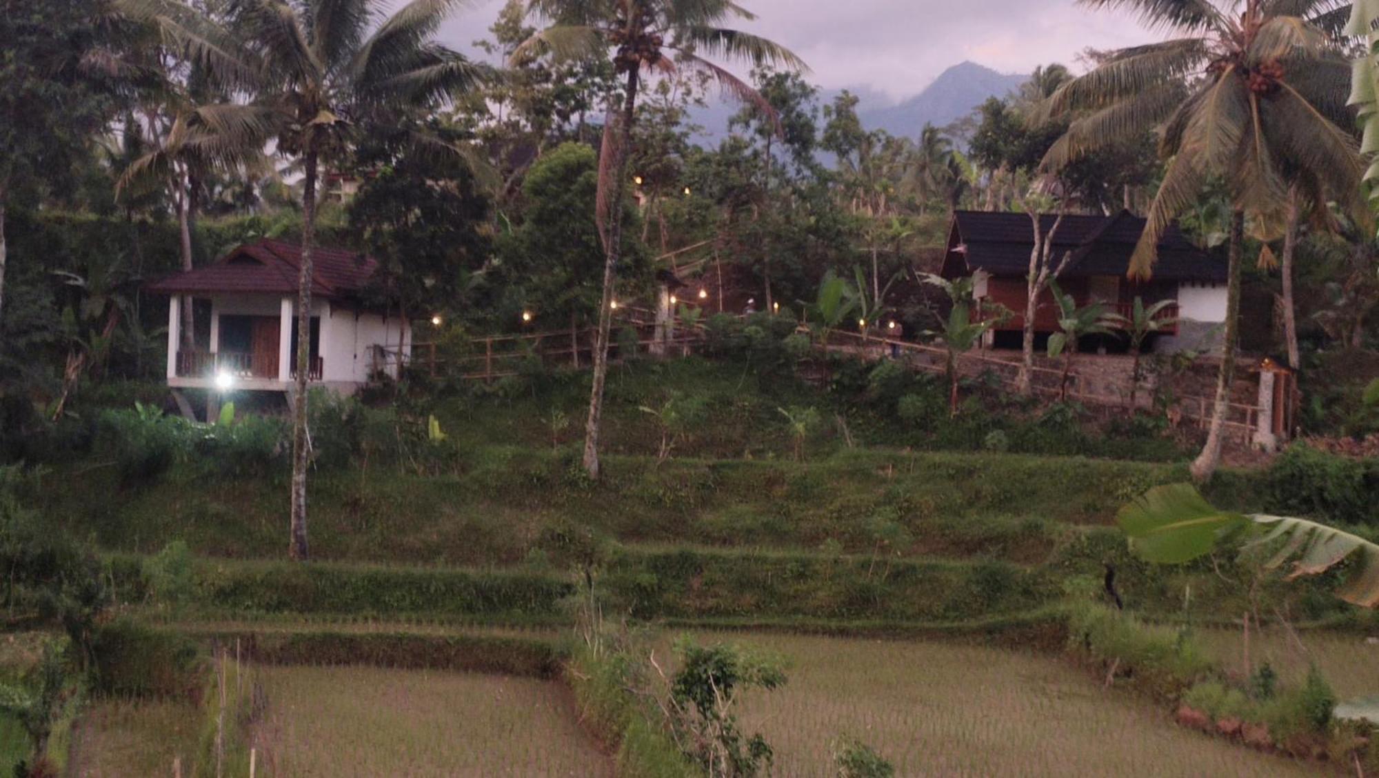 Nea Cottage Lombok Tetebatu Zewnętrze zdjęcie